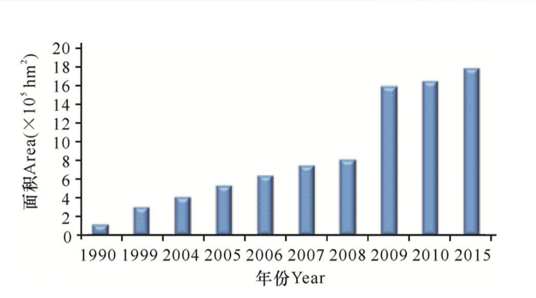 桉树对人体有哪些危害(桉树为什么叫断子绝孙树)-图片11