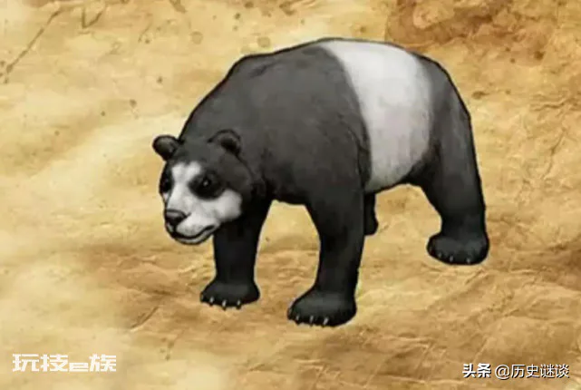 熊猫在地球上已存在多少年了(大熊猫怎么生存下来的)-图片5