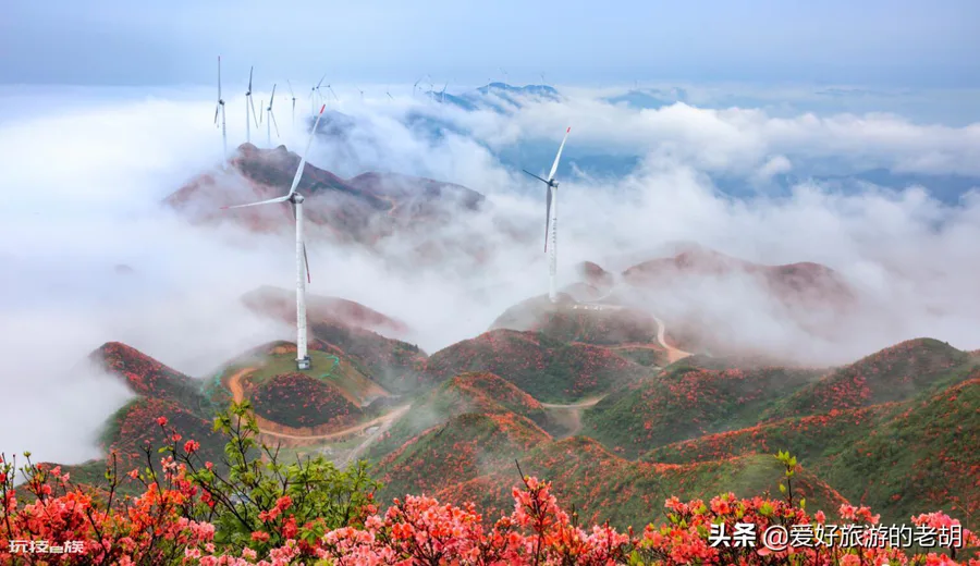 江西泰和县是哪个市(吉安市泰和县拥有18名开国将军)-图片6