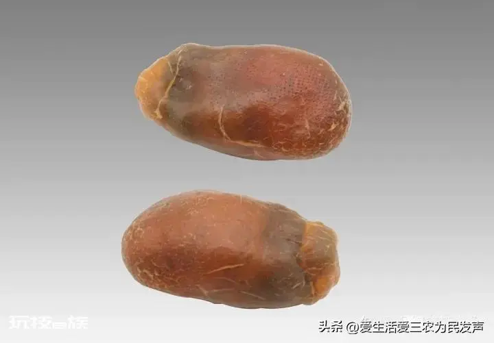 鸡宝到底值不值钱(鸡宝为什么如此值钱市场价格高)-图片2