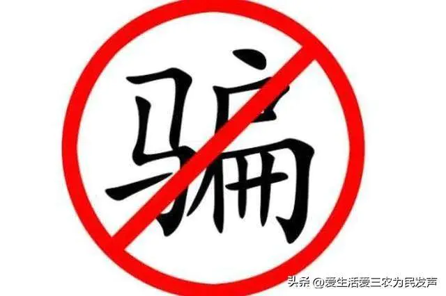 鸡宝到底值不值钱(鸡宝为什么如此值钱市场价格高)-图片4