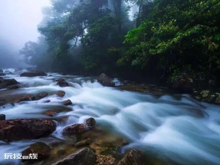 郴州旅游必去十大景点排名(湖南郴州值得推荐的游玩景点)-图片10