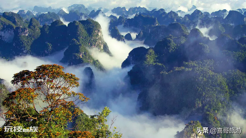 龙州县属于哪个市(广西壮族自治区崇左市辖县龙州旅游路线)-图片6