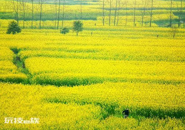 湖南南县属于哪个市管辖(益阳市南县的历史及风景名胜)-图片2