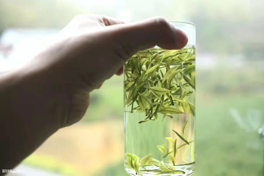 六大类成品茶的分类依据是什么(茶分为哪六大类及特点)-图片3