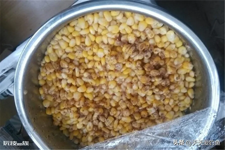 什么饵料钓鲤鱼最好(野钓鲤鱼这3种味型效果绝佳)-图片3
