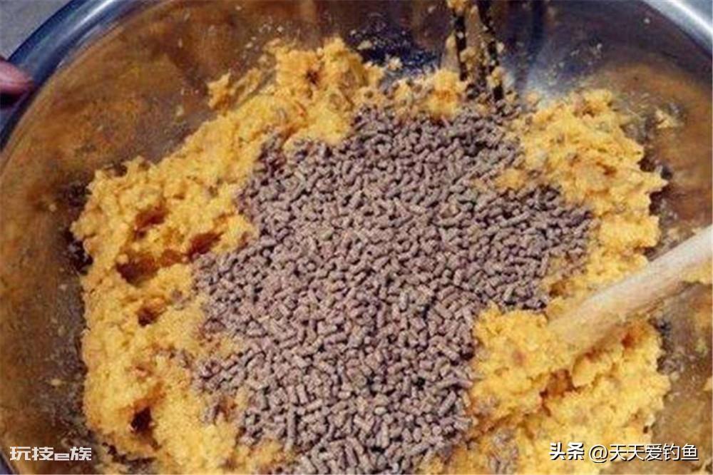 什么饵料钓鲤鱼最好(野钓鲤鱼这3种味型效果绝佳)-图片5