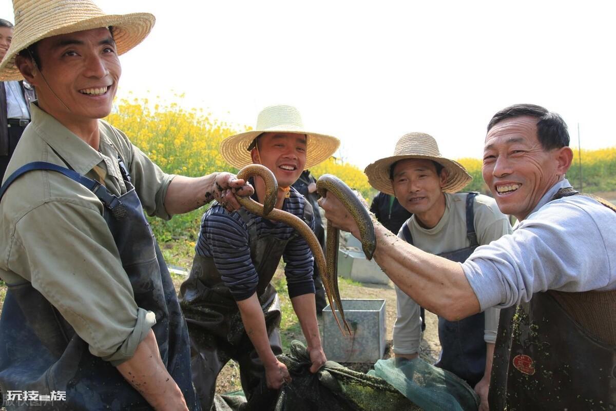 养殖黄鳝的利润和成本是多少(养殖黄鳝提高产量利润方法)-图片2