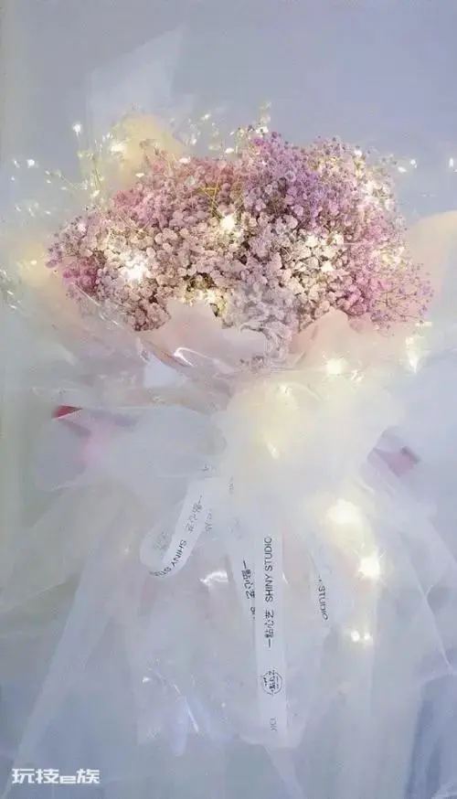 送满天星代表什么意思(不同颜色的满天星的花语及寓意)-图片2