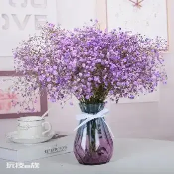 送满天星代表什么意思(不同颜色的满天星的花语及寓意)-图片3