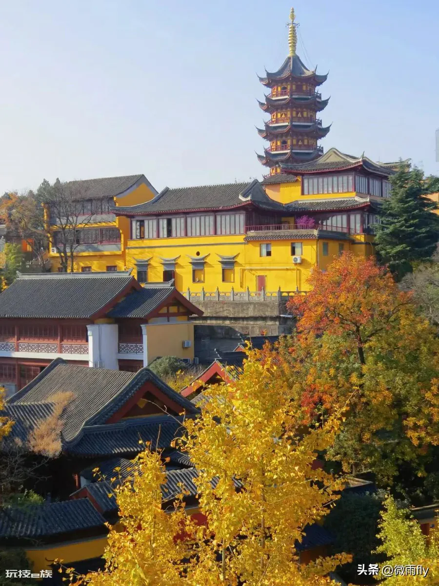 南京银杏树哪里最好看最出名(南京有银杏树的7处景点)-图片5