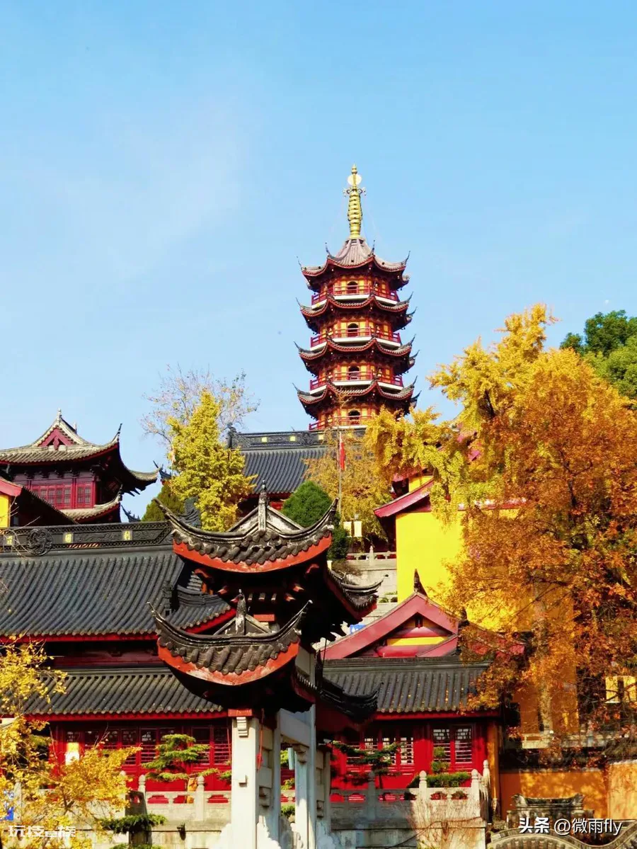 南京银杏树哪里最好看最出名(南京有银杏树的7处景点)-图片6