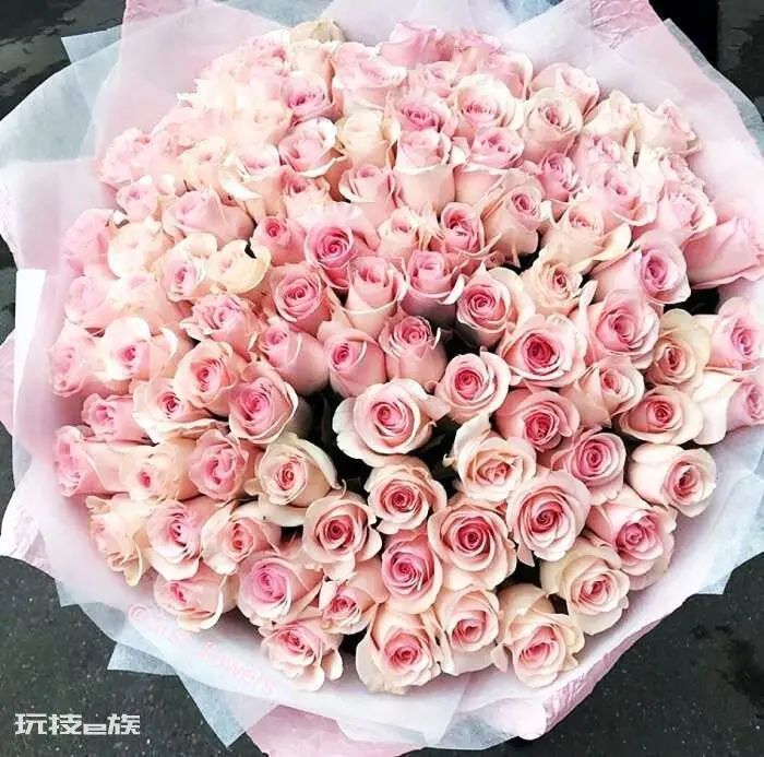 送粉色玫瑰是什么意思(粉玫瑰的花语寓意及象征含义)-图片4