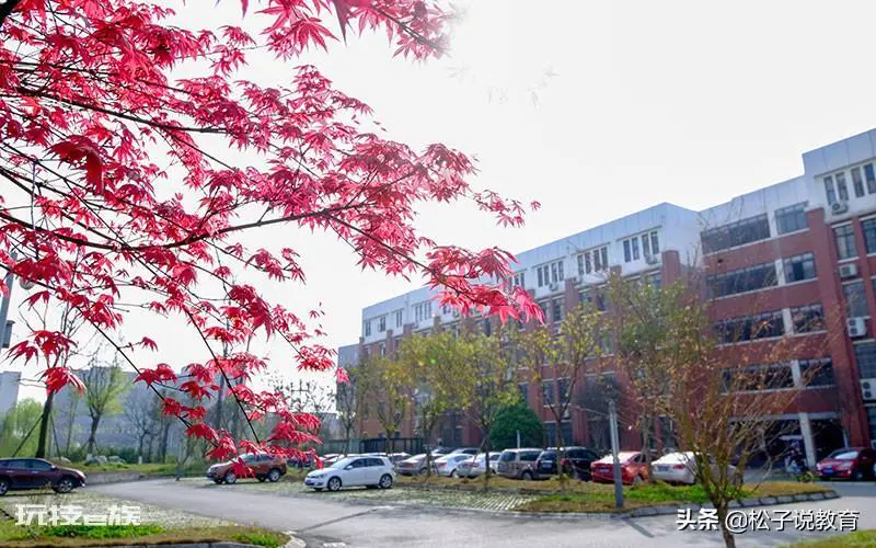 西南交大怎么样什么档次(云南大学与西南交大哪个实力更强)-图片5