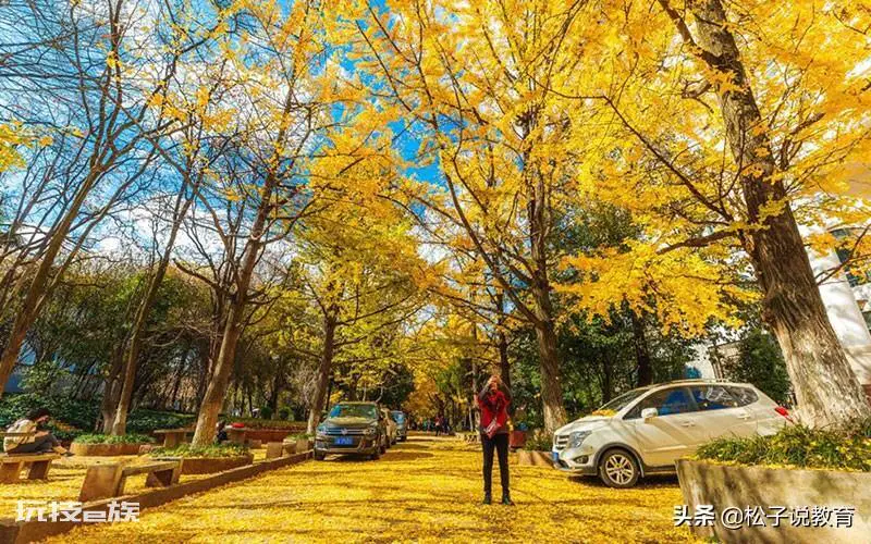 西南交大怎么样什么档次(云南大学与西南交大哪个实力更强)-图片7