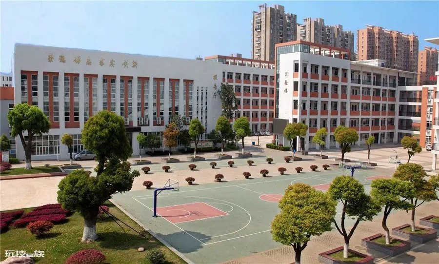 一到学校就抑郁回家就好了(抑郁症孩子在家里好好的怎么办)-图片3