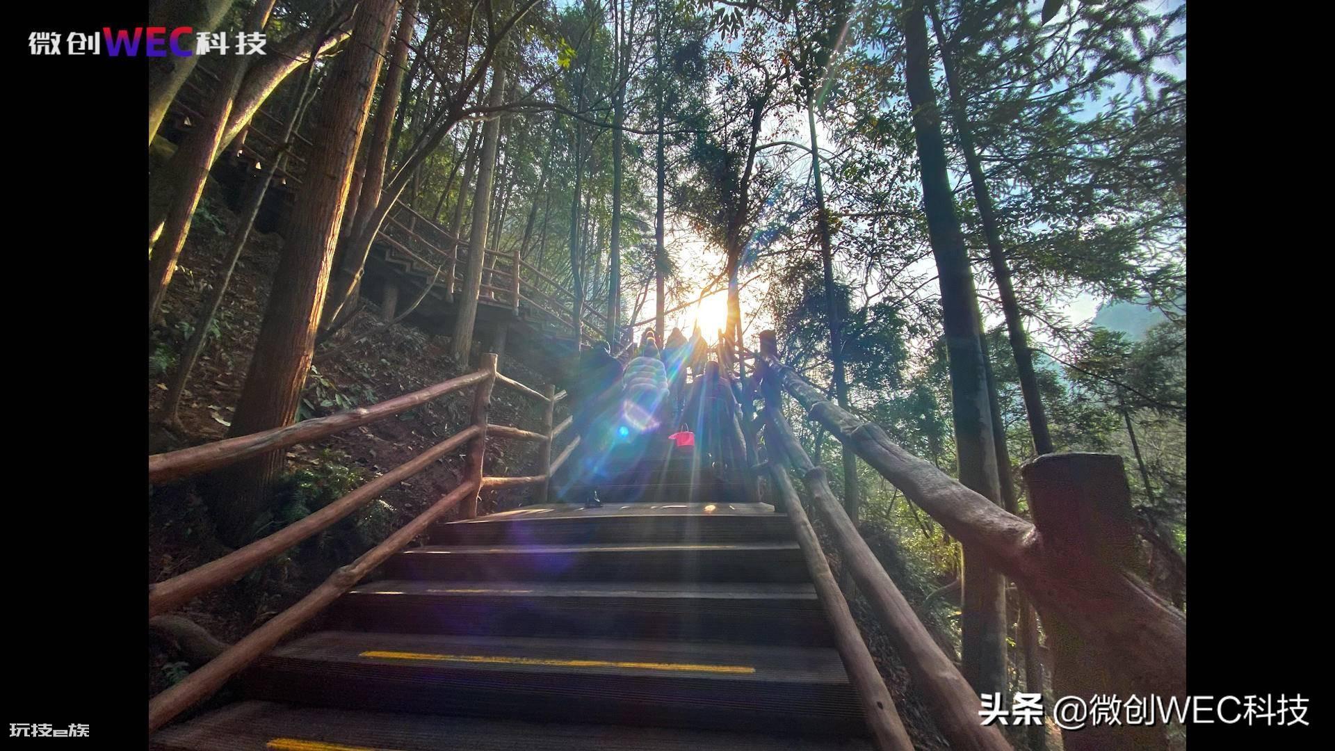 苹果xr和苹果11哪个值得买(究竟买哪款更合适)-图片9