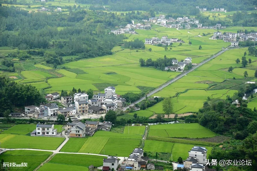 江西农田补贴是多少钱一亩(耕地补贴标准112元每亩吗)-图片1