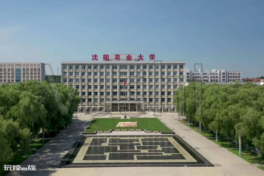 沈阳有哪些大学(沈阳高校排名一览表)-图片9