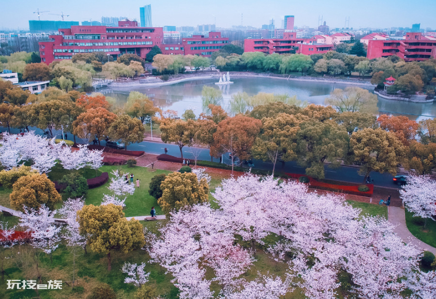 学院是本科还是专科(为什么学校是本科却叫学院)-图片3
