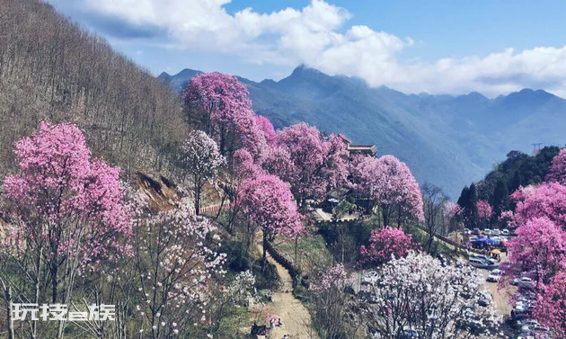 绵阳是哪个省的城市(四川省绵阳的发展潜力如何)-图片2