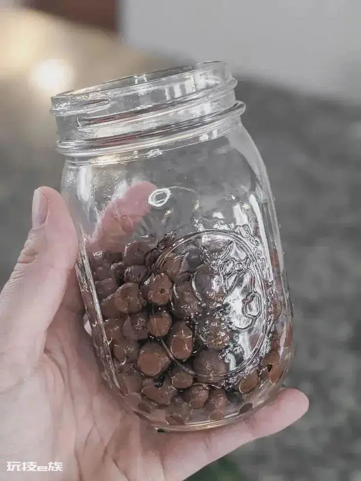 陶粒的作用和特点是什么意思(养花花盆中的陶粒用途)-图片5