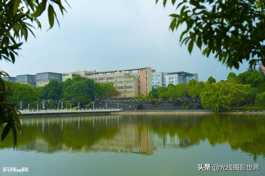 西南政法大学有多可怕(西南政法大学的院校实力有多强)-图片7