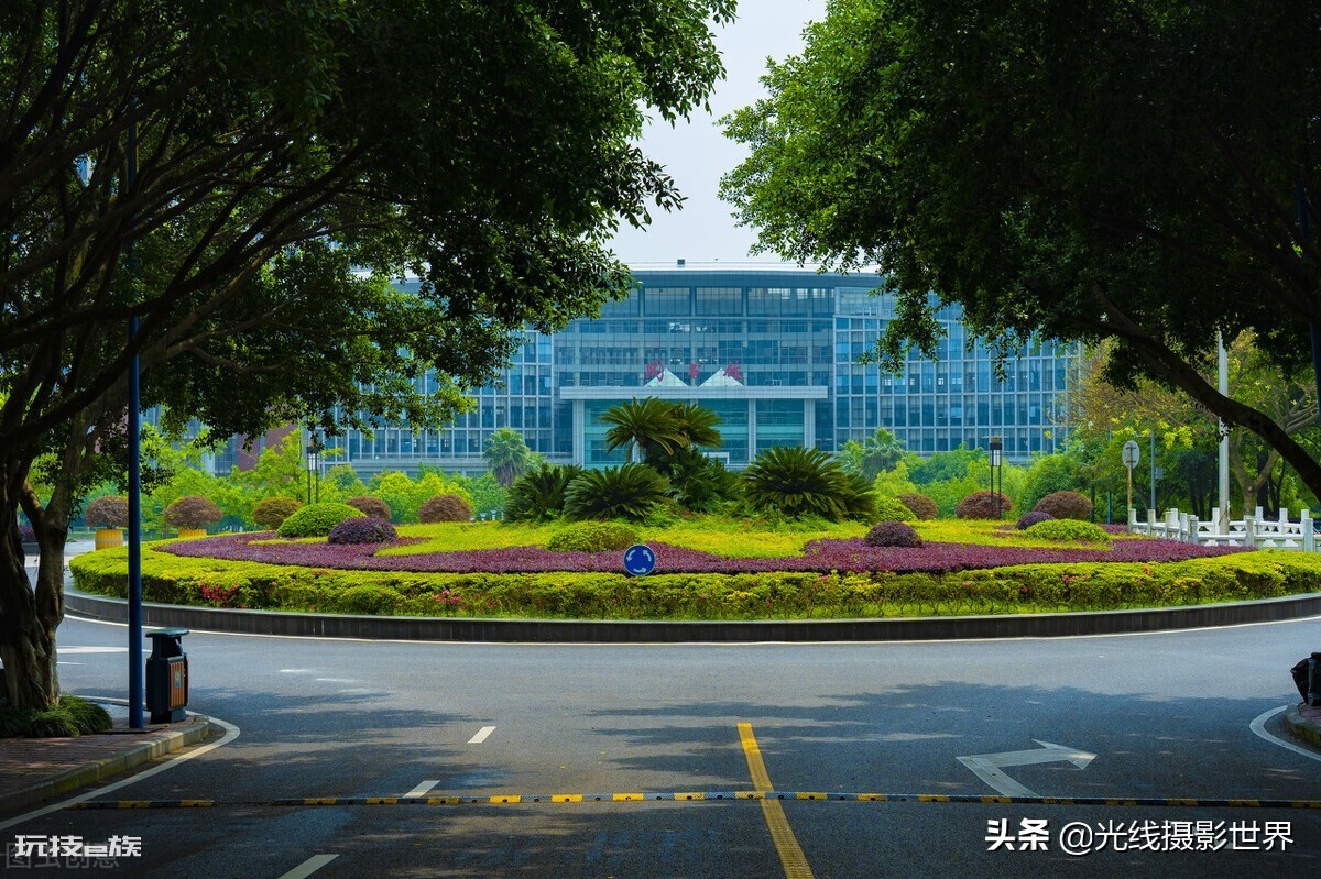 西南政法大学有多可怕(西南政法大学的院校实力有多强)-图片6
