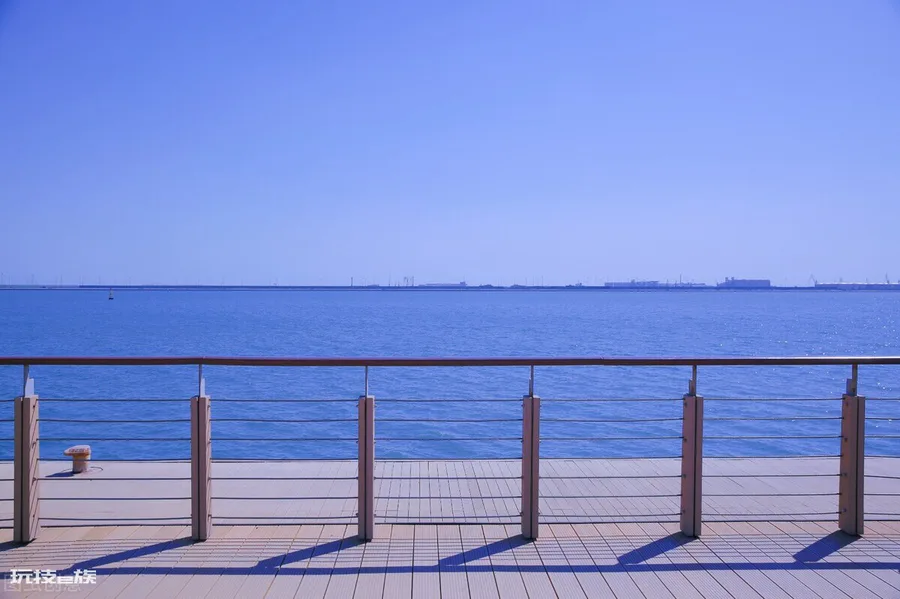 天津看海去哪里最好(天津6大高颜值海边景点推荐)-图片1