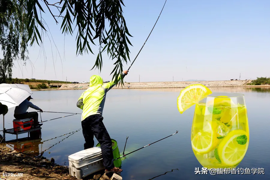 果酸小药的正确使用方法详解(钓鱼果酸的正确使用技巧)-图片3