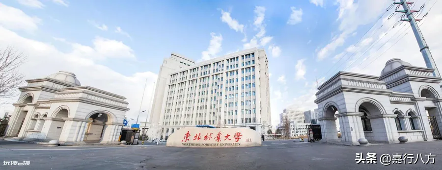 黑龙江的大学排名及分数线(黑龙江的大学排行一览表)-图片15