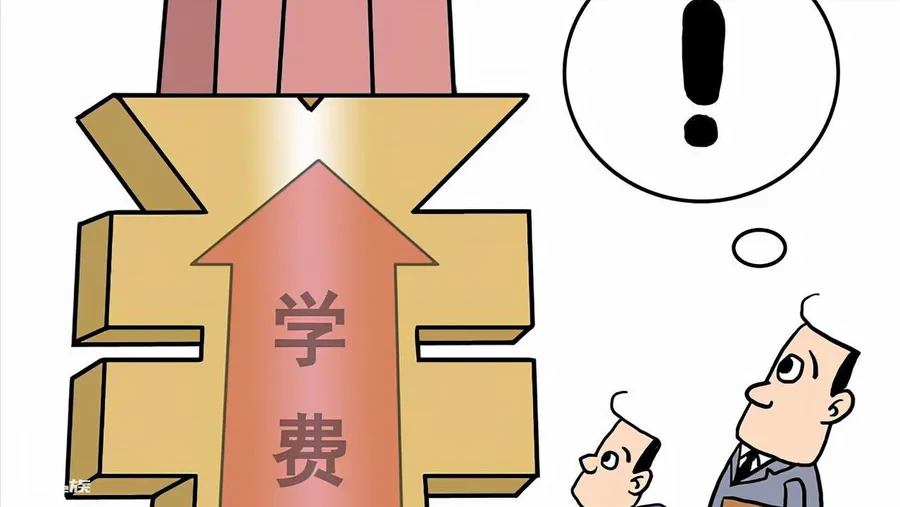 民办是公立还是私立(公立学校和民办学校有什么区别)-图片2