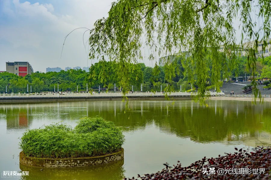 西南政法大学有多可怕(西南政法大学的院校实力有多强)-图片9