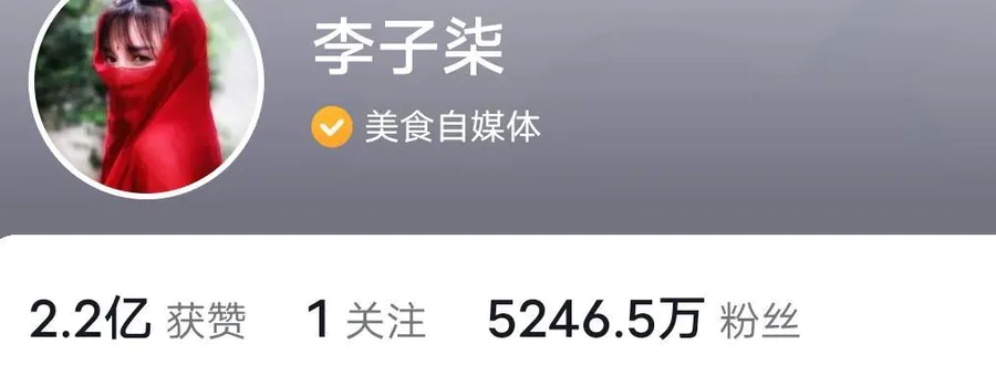 抖音粉丝排行榜2022最新前十名(抖音网红人气排名)-图片4
