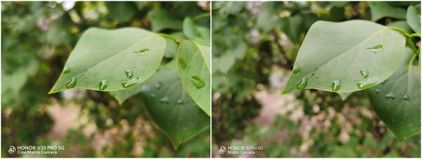 荣耀v30pro和荣耀30pro对比评测(两款手机参数)-图片11
