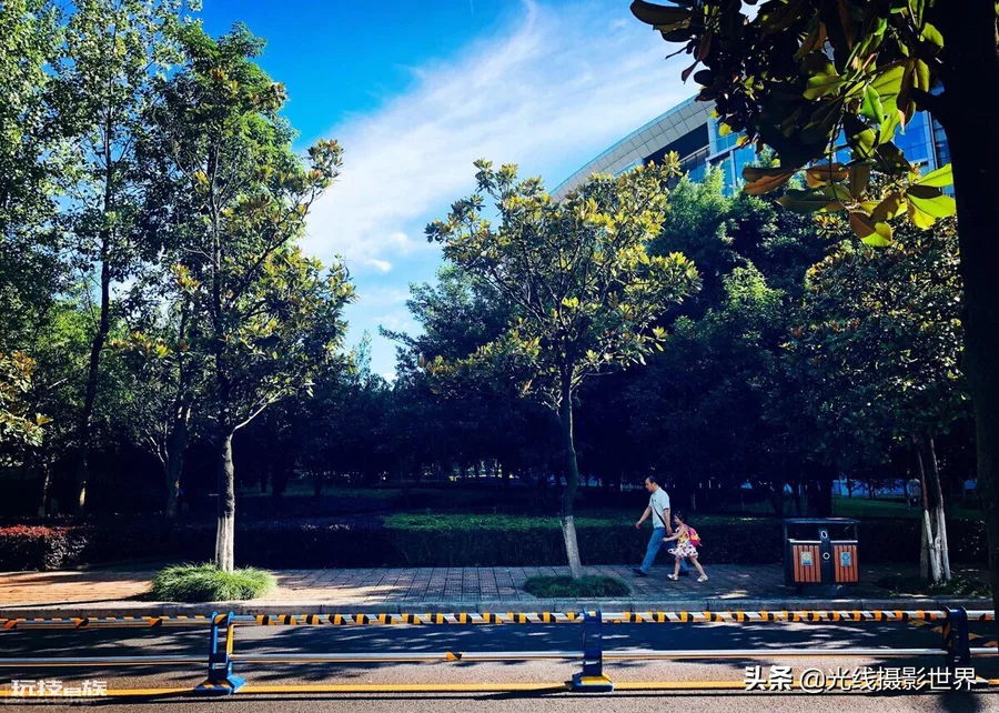 西南政法大学有多可怕(西南政法大学的院校实力有多强)-图片2