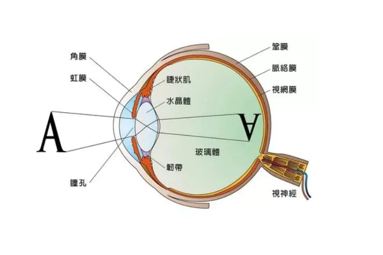 赫兹是什么的单位(手机有必要使用120赫兹的刷新率吗)-图片3