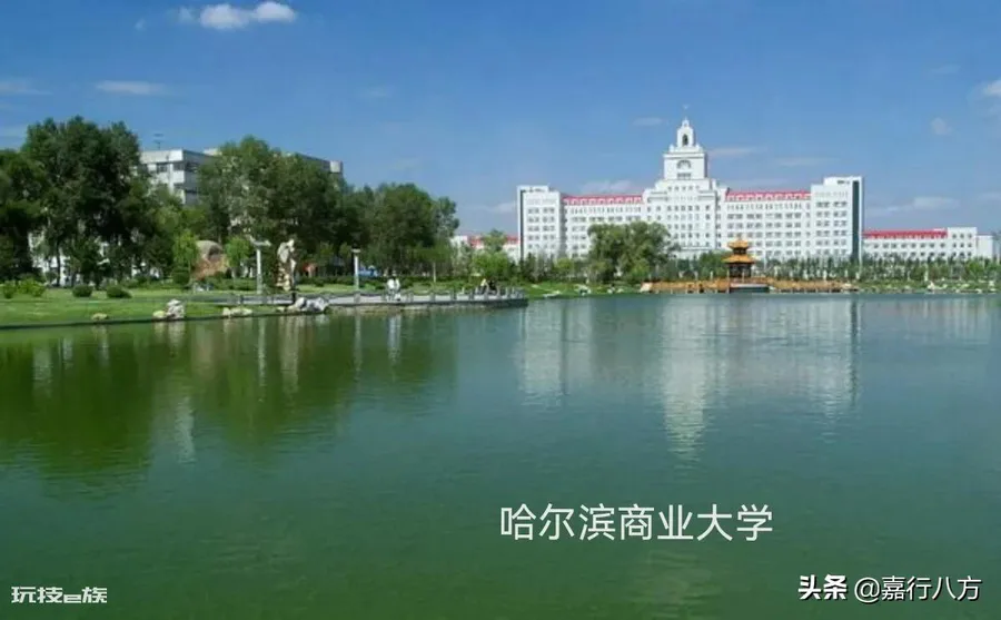 黑龙江的大学排名及分数线(黑龙江的大学排行一览表)-图片18