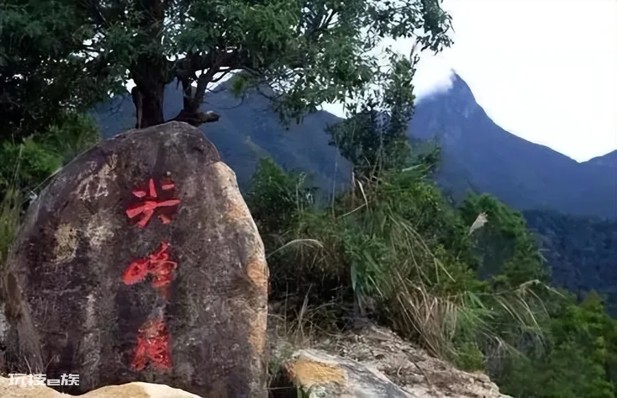 沉香哪里的产地最好(海南尖峰岭出产沉香色泽光亮香气甜美)-图片2