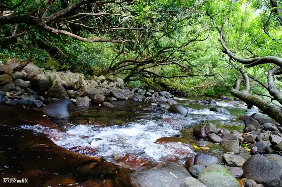 沉香哪里的产地最好(海南尖峰岭出产沉香色泽光亮香气甜美)-图片4