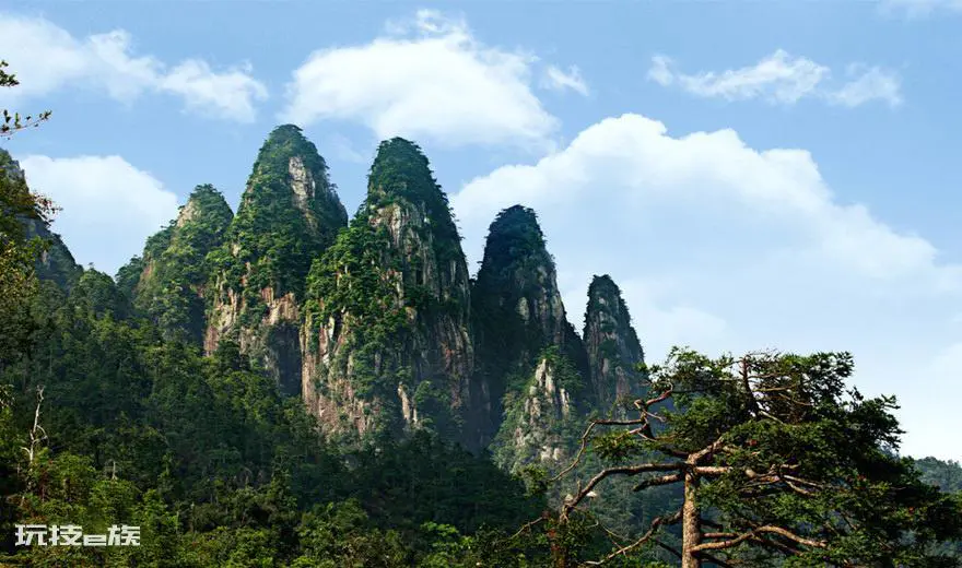 沉香哪里的产地最好(海南尖峰岭出产沉香色泽光亮香气甜美)-图片5