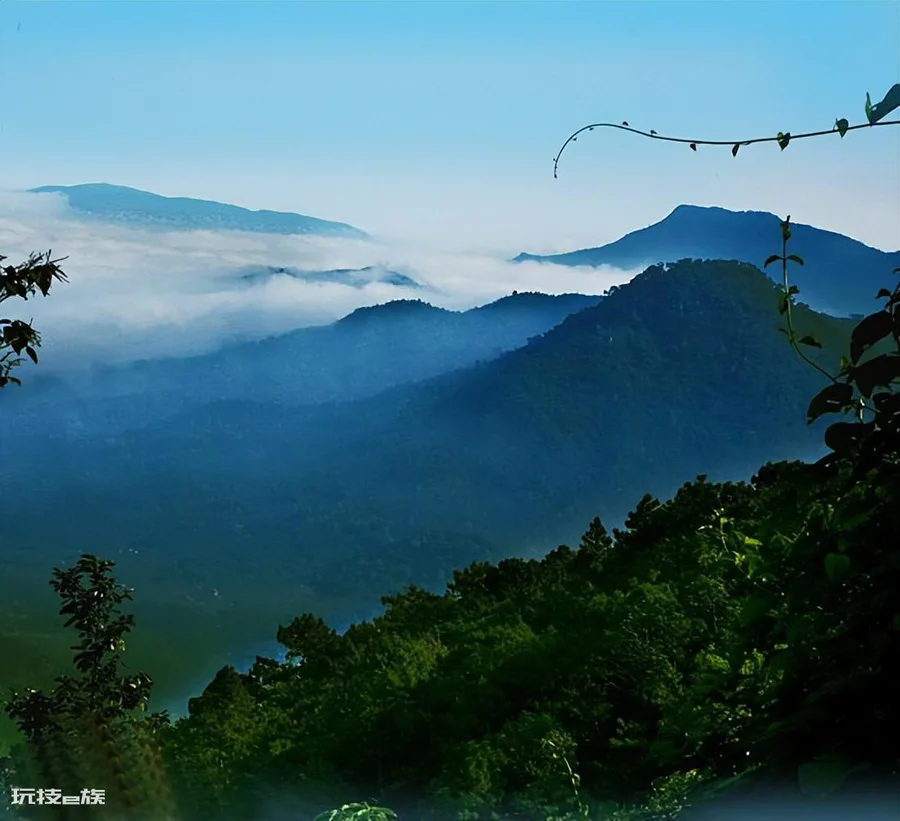 沉香哪里的产地最好(海南尖峰岭出产沉香色泽光亮香气甜美)-图片6