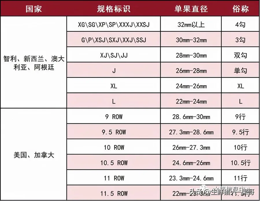 车厘子怎么分几个j(怎么区别车厘子几个等级)-图片2