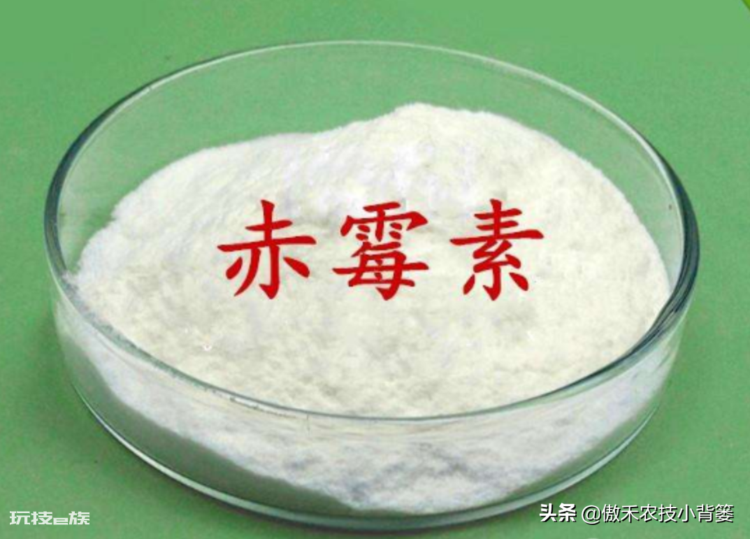 赤霉素的作用和使用方法(赤霉素适合的农作物)-图片1