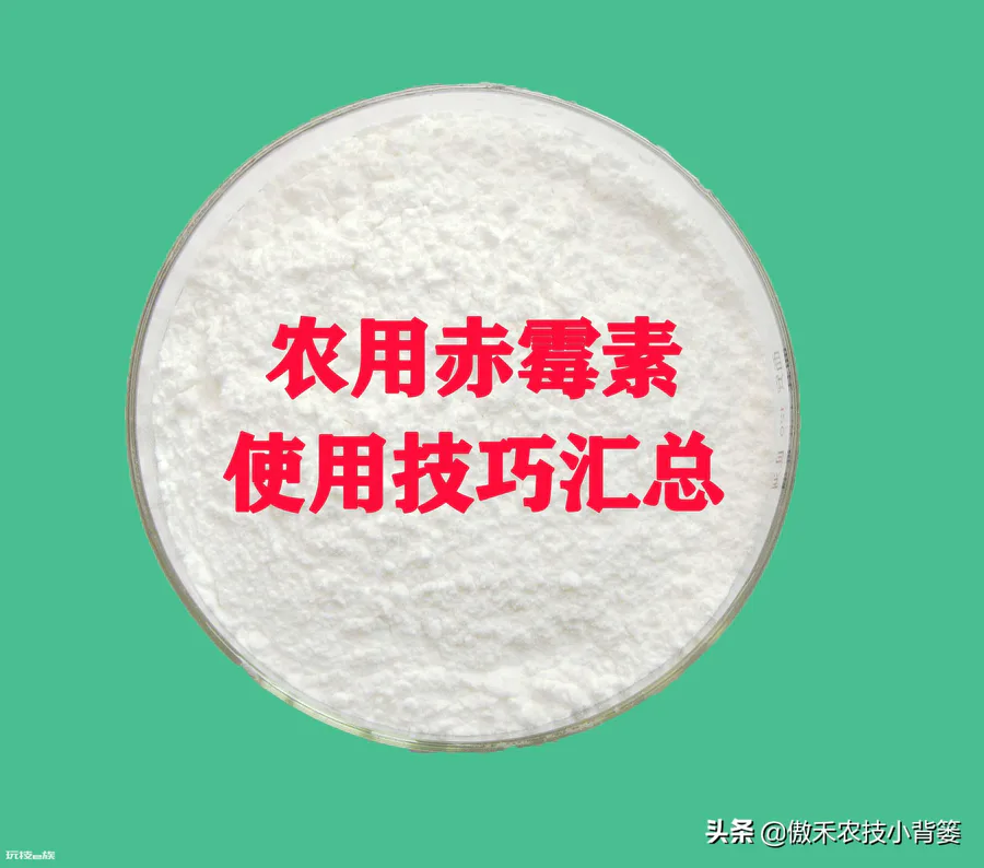 赤霉素的作用和使用方法(赤霉素适合的农作物)-图片3