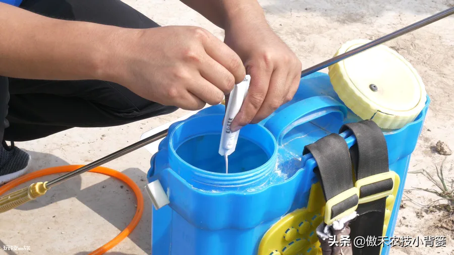 赤霉素的作用和使用方法(赤霉素适合的农作物)-图片4