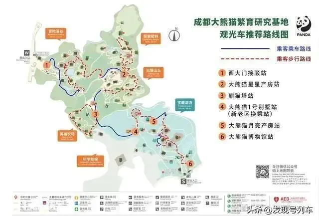 成都大熊猫繁育研究基地游玩攻略(成都大熊猫基地旅游看萌宝)-图片5
