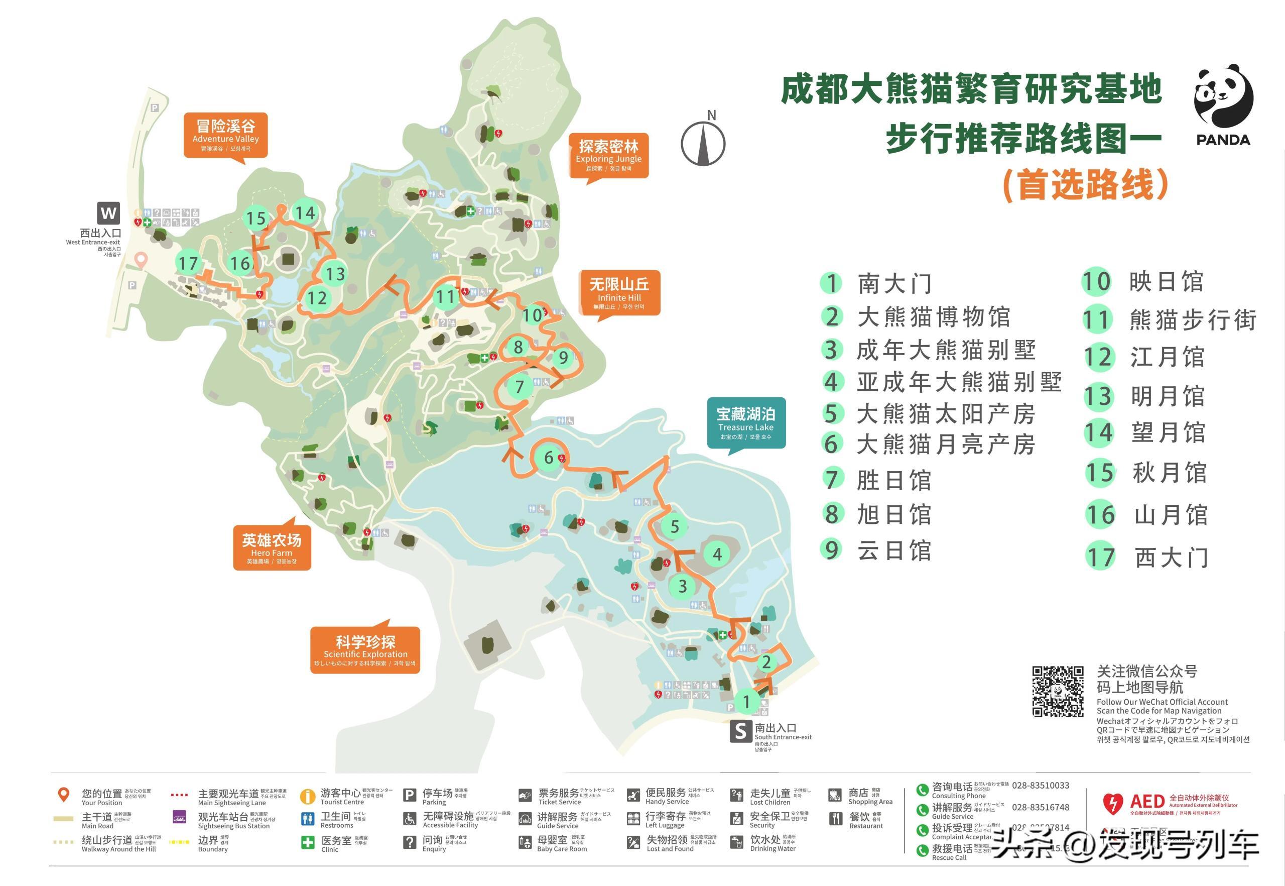 成都大熊猫繁育研究基地游玩攻略(成都大熊猫基地旅游看萌宝)-图片7