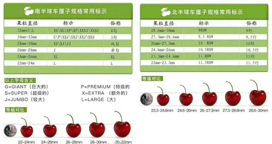 单j车厘子和双j车厘子的区别(双勾单勾车厘子是什么意思)-图片2