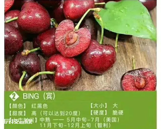 单j车厘子和双j车厘子的区别(双勾单勾车厘子是什么意思)-图片4